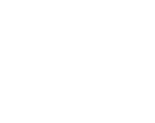 Vector (11)