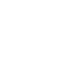 Vector (12)