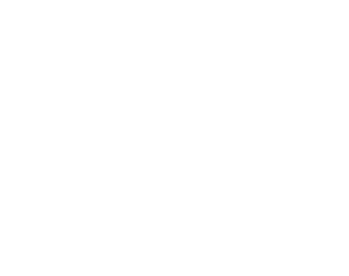 Vector (14)