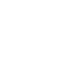 Vector (16)