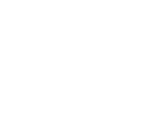 Vector
